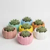 Coleção Aurora