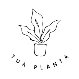 Tua Planta Tua Planta